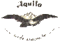 Aquila