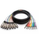 Siirry ryhmään Lavahaut ja viuhkat