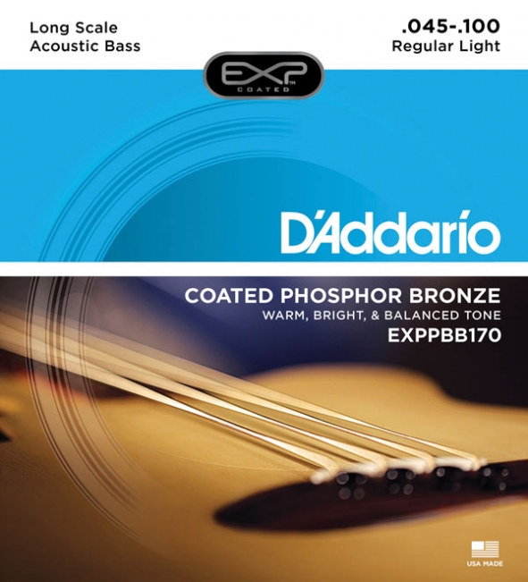 D'Addario EXPPBB170 Akustisen basson kielisetti - Basson kielet - EXPPBB170 - 1