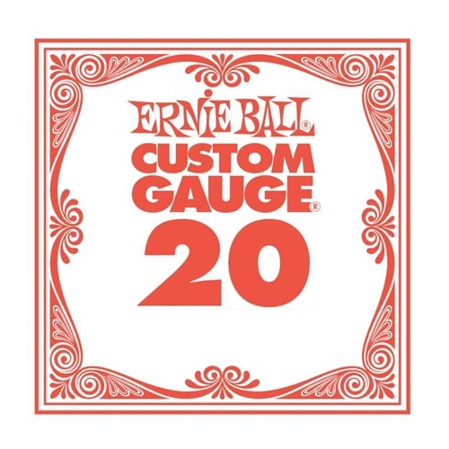 Ernie Ball P11020 020W Punottu irtokieli - Kitaran kielet - EB-1020 - 1