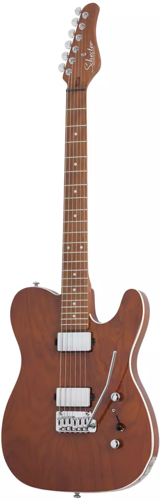 Schecter PT Van Nuys Gloss Natural Ash sähkökitara - Sähkökitarat - YSC700 - 1