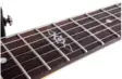 Schecter C-7 SGR MSBK 7-kielinen sähkökitara - Sähkökitarat - YSC3822 - 3
