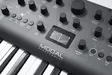 Modal Electronics Argon8 syntetisaattori - Syntetisaattorit ja -modulit - 4701037 - 8