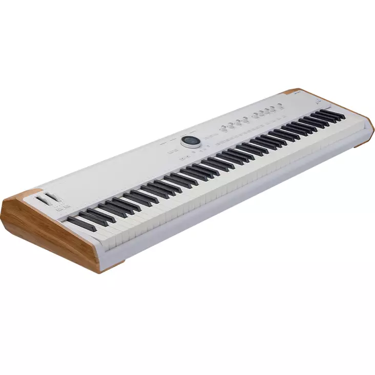 Arturia AstroLab 88 Stage -kosketinsoitin - Keikka- ja digitaalipianot - 2405708 - 1