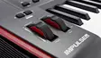 Novation Impulse 49 USB/MIDI -kosketinsoitin - MIDI/USB -koskettimet - YNOVIMP49 - 6