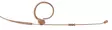 AKG EC82 MD Beige korvasankamikrofoni - Headset-pääpantamikrofonit - 8AUEC82MDBeige - 1