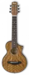 Ibanez EWP14WB-OPN Piccolo - Muut soittimet - EWP14WB-OPN - 1
