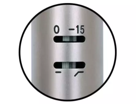 Royer Labs R-122 MKII nauhamikrofonipari - Nauhamikrofonit - R122MKIIMP - 2