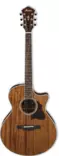 Ibanez AE245-NT akustinen kitara - Akustiset kitarat - AE245-NT - 1