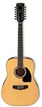 Ibanez PF1512NT akustinen kitara - Akustiset kitarat - PF1512NT - 1