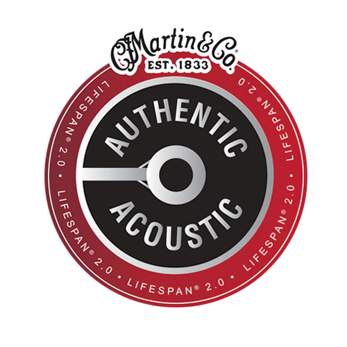 Martin MA540T 92/8 Phosphor Bronze 12-54 Lifespan 2.0 akustisen kielet - Kitaran kielet - MA540T - 1